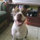 resien cumplidos sus 7meses